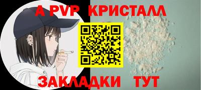 стаф Новодвинск