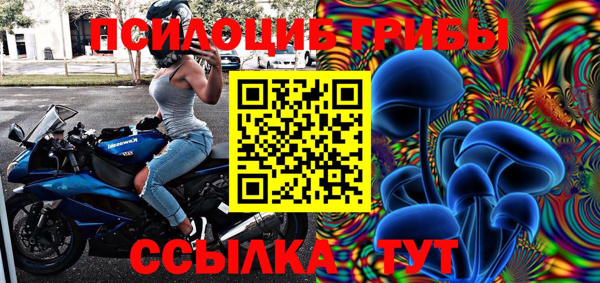 Галлюциногенные грибы Psilocybe Волгоград