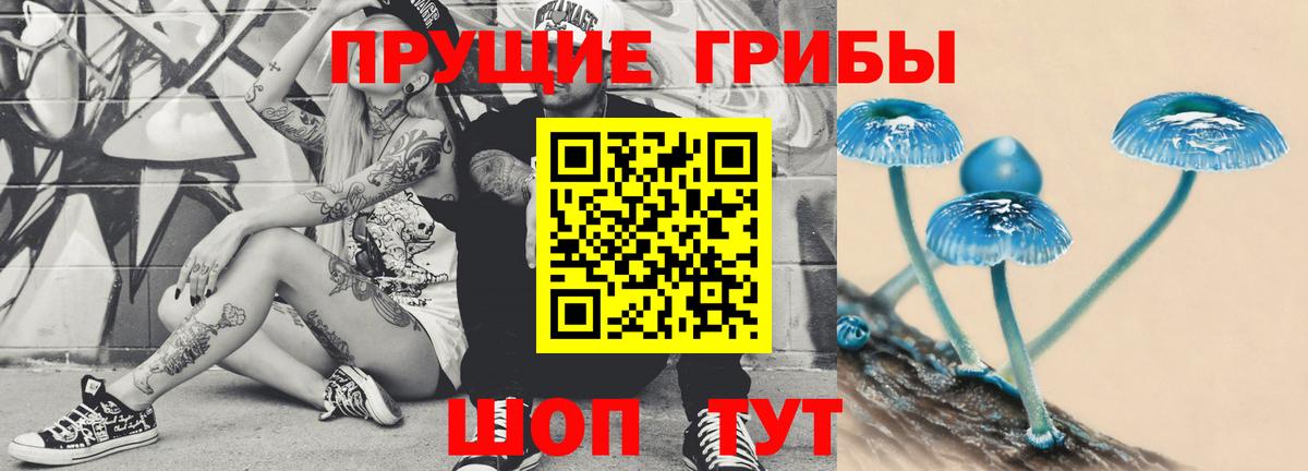 Волгоград  Псилоцибиновые грибы MAGIC MUSHROOMS  Вход с VPN 